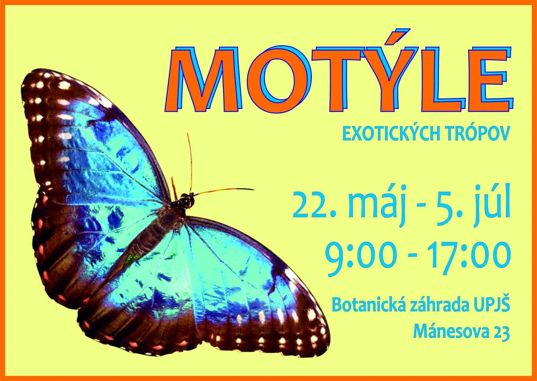 motyle-exotickych-tropov
