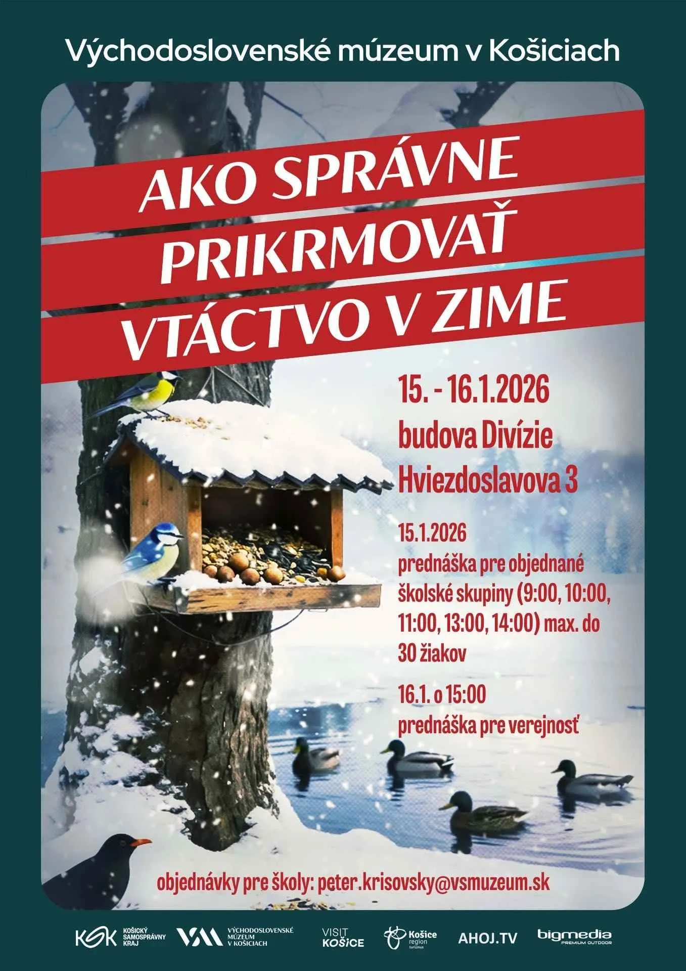 ako-spravne-prikrmovat-vtactvo-v-zime