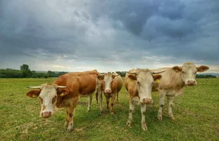 bio-farma-&-penzion