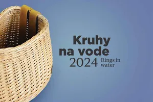 circles-on-the-water-2024