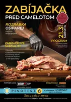 zabijacka-pred-camelotom