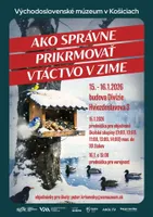 ako-spravne-prikrmovat-vtactvo-v-zime