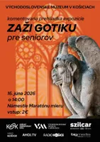 experience-the-gothic---for-seniors