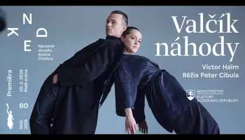 victor-haіm:-valcik-nahody