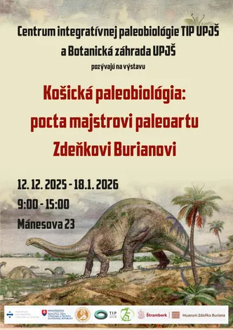 prehistoricka-hodvabna-cesta