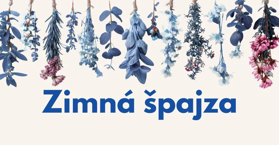 zimna-spajza