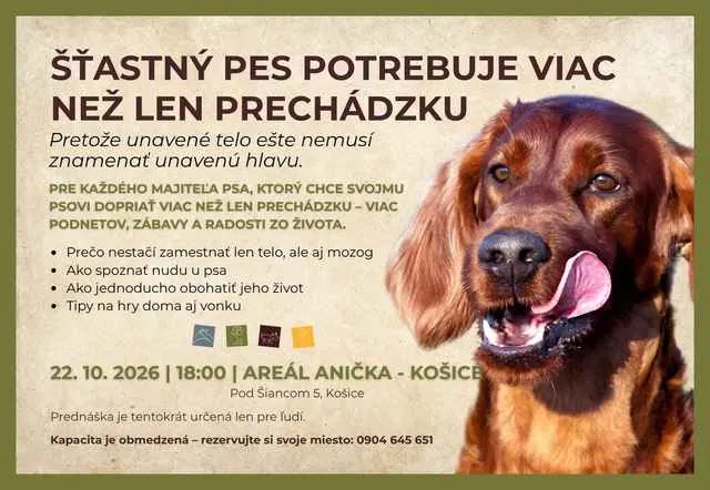 stastny-pes-potrebuje-viac-nez-len-prechadzku