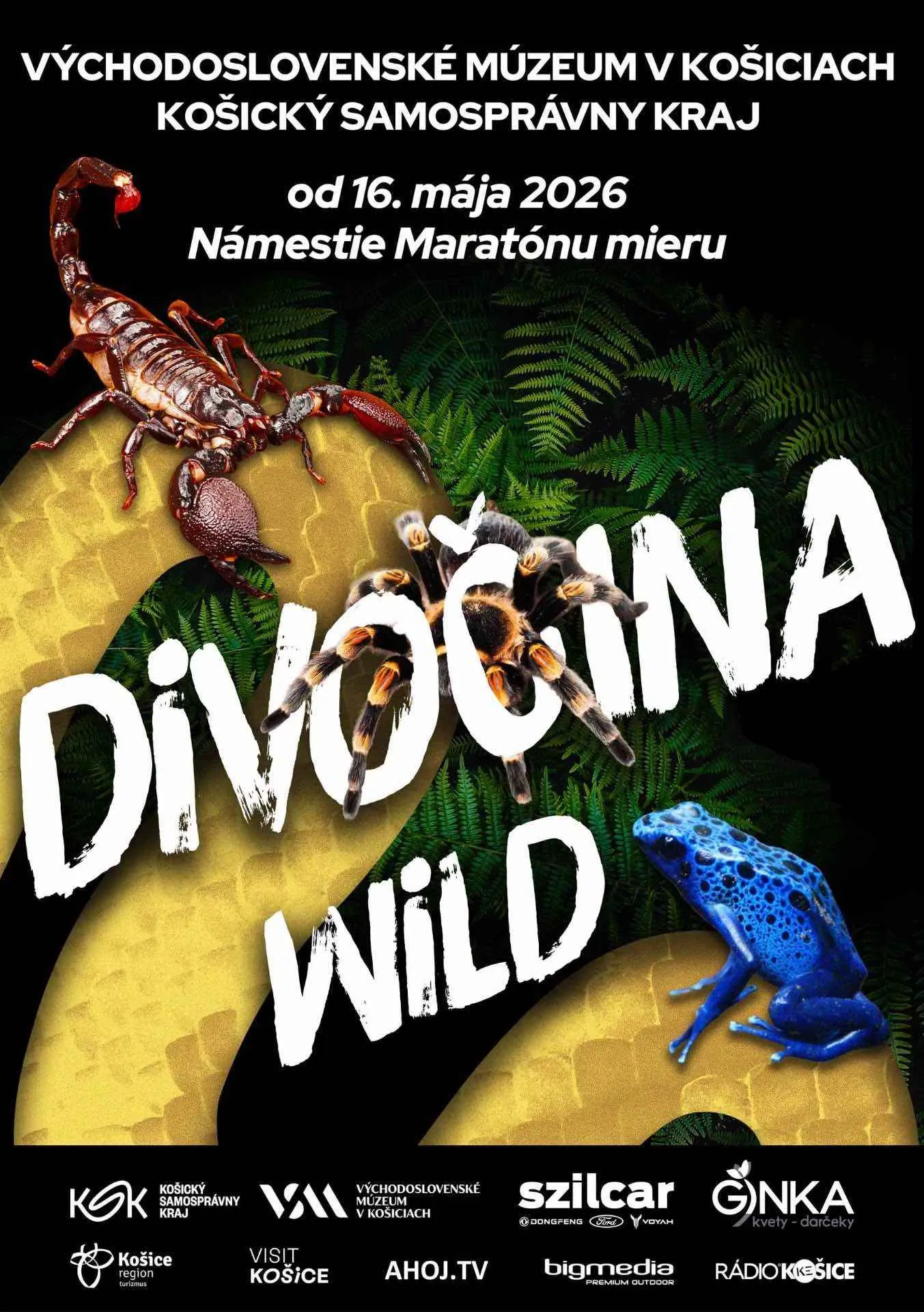 divocina