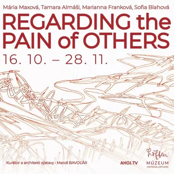 regarding-the-pain-of-others